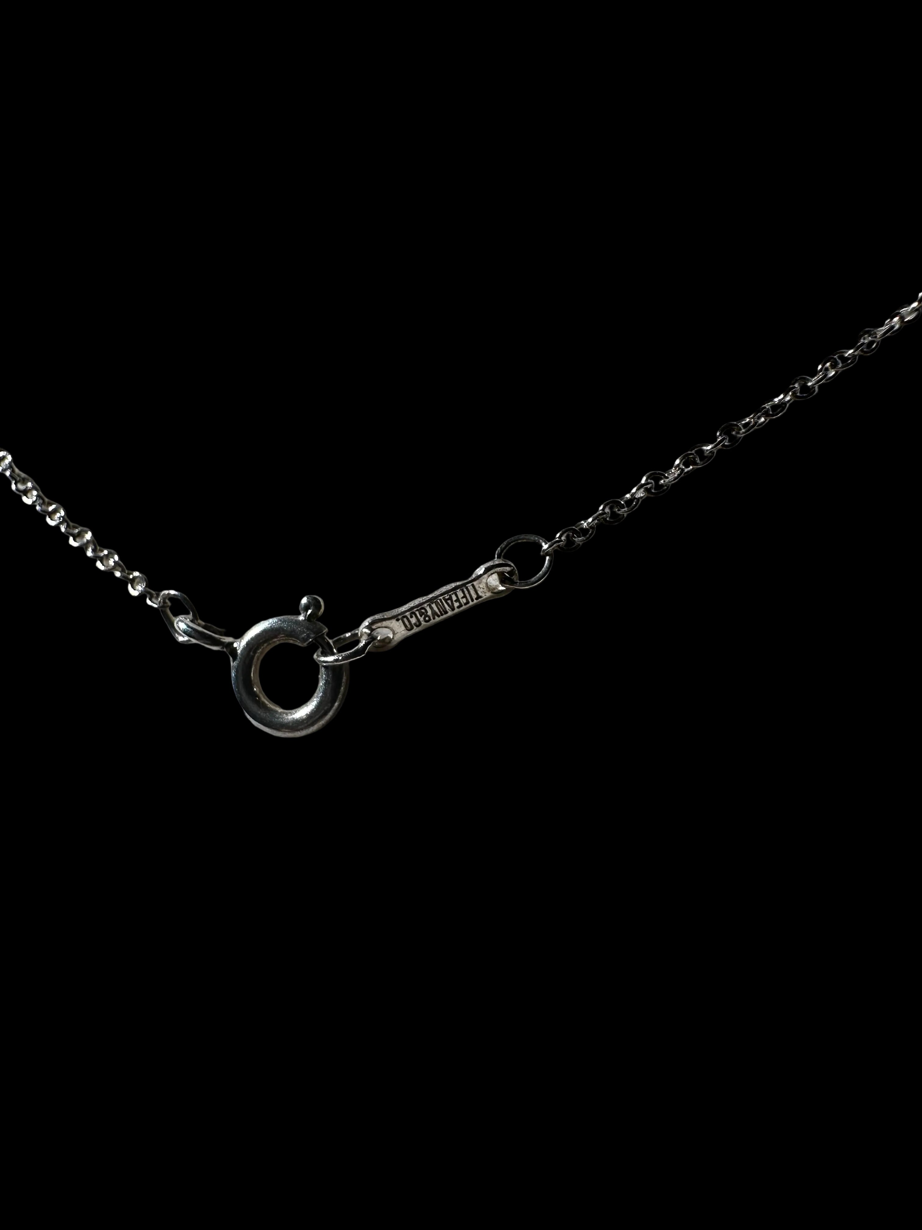 Tiffany & Co. Elsa Peretti Signed Silver Teardrop Pendant Necklace Cable Chain