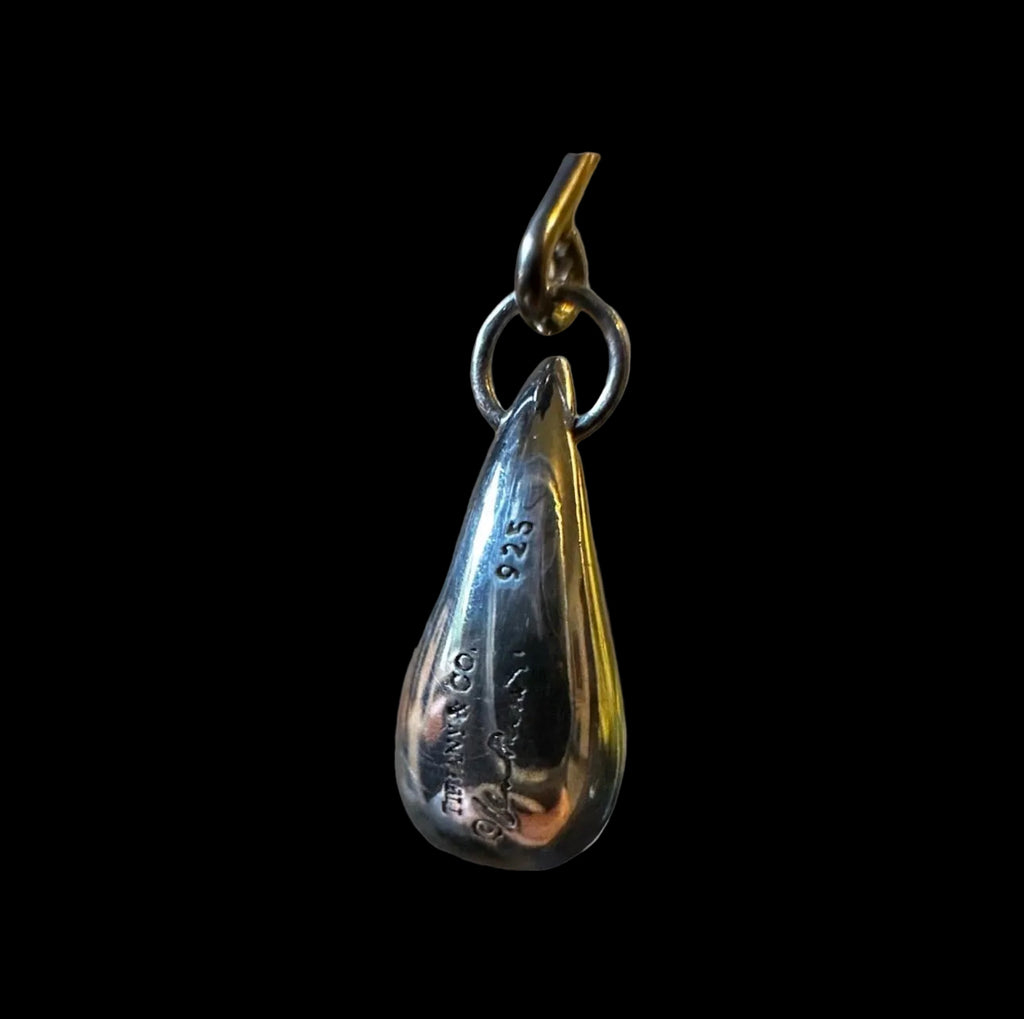 Tiffany & Co. Elsa Peretti .925 Sterling Silver Teardrop Dangle Earrings Signed