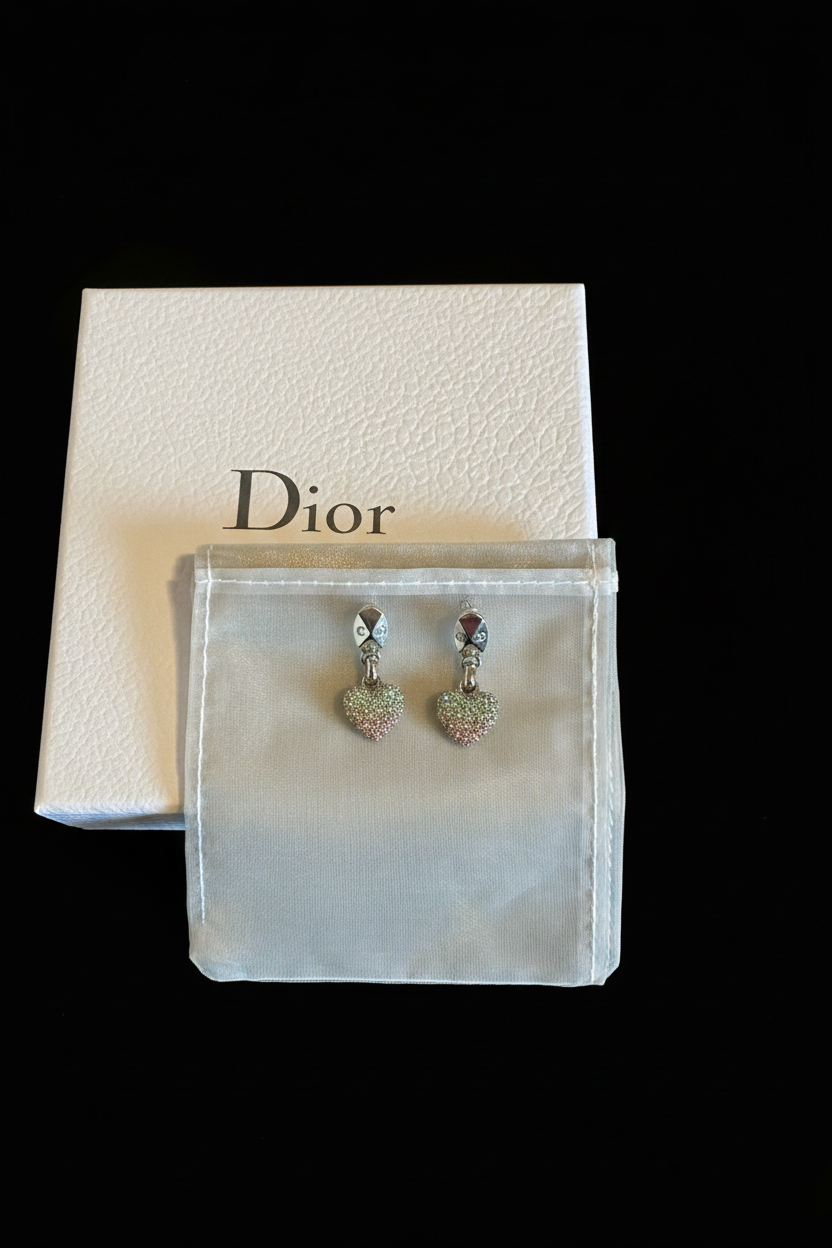 Dior Earrings on Silk Pouch
