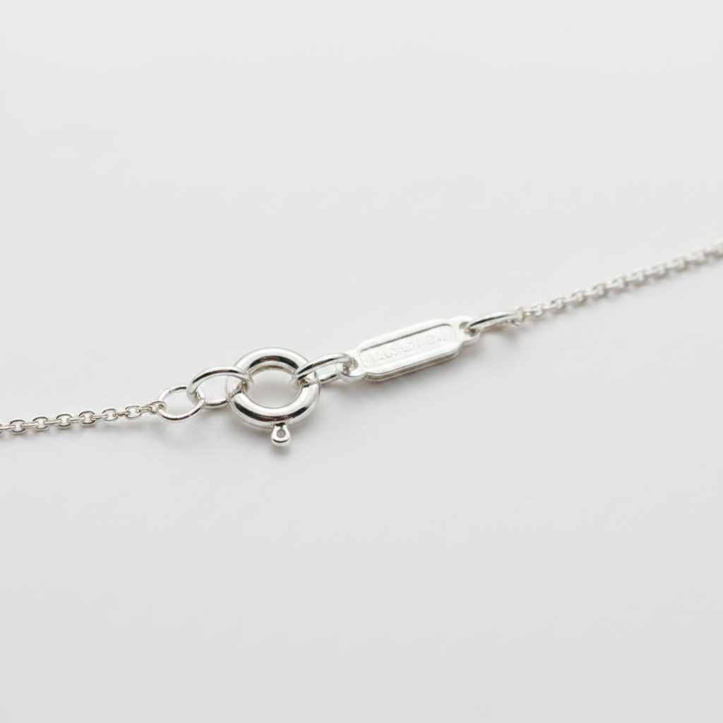 Tiffany & Co. 1837 Interlocking Circles Sterling Silver Necklace - Spring Ring Clasp Detail
