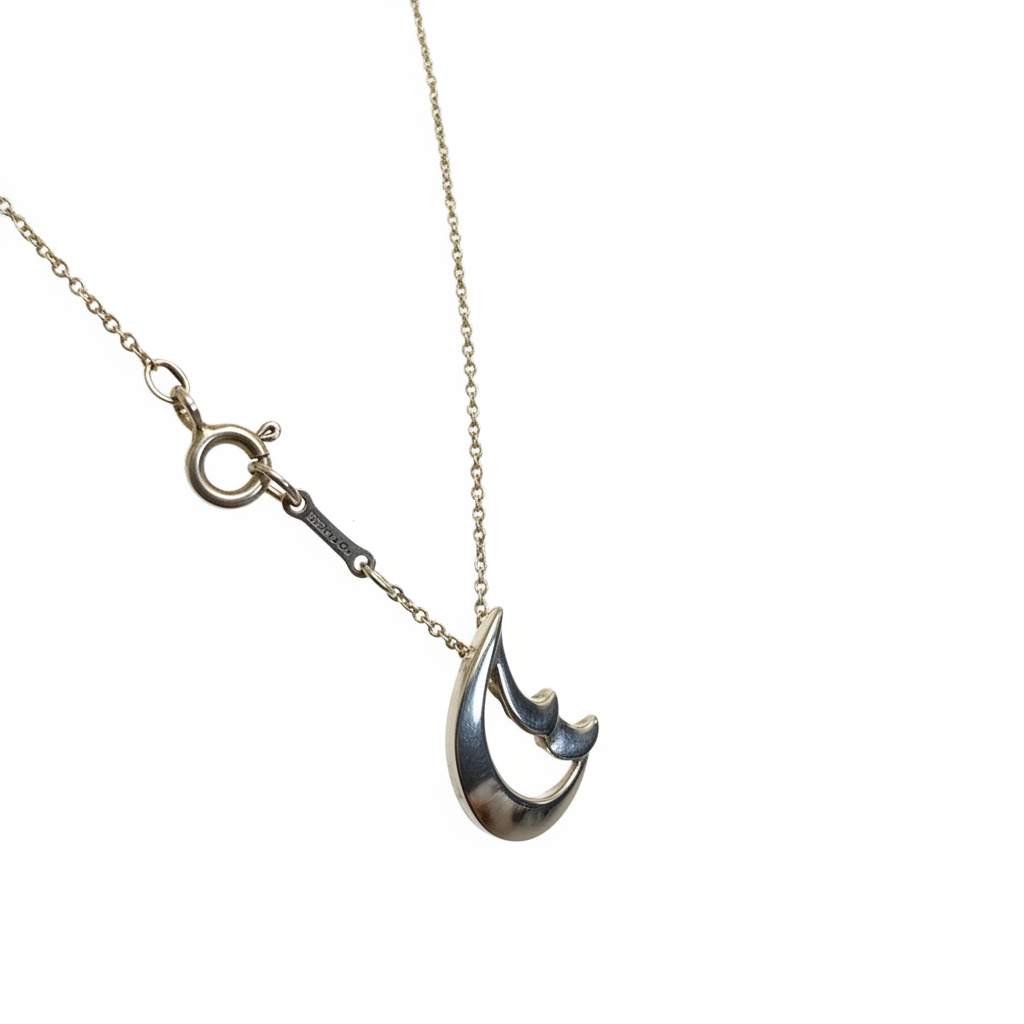 Tiffany & Co. Paloma Picasso 925 Silver Crescent Moon Pendant - Clasp and Chain Tag Detail