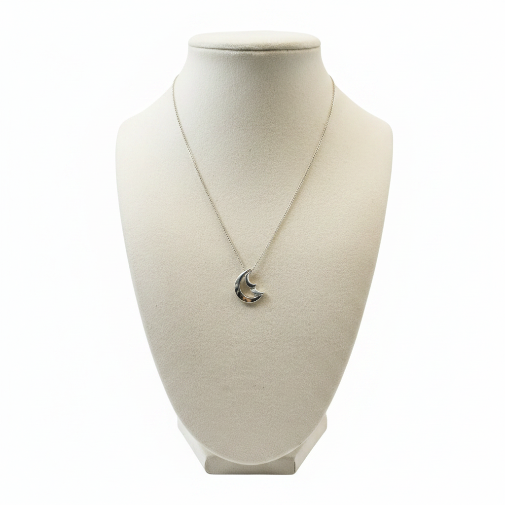 Tiffany & Co. Paloma Picasso 925 Silver Crescent Moon Pendant Necklace